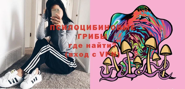 СК Абинск